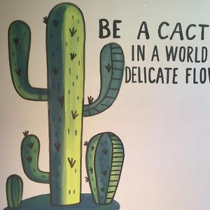 Bajas Cactus Hostel